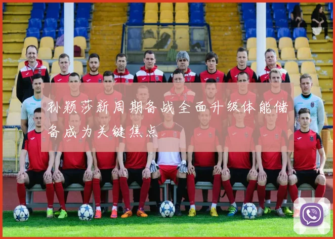 孙颖莎新周期备战全面升级体能储备成为关键焦点